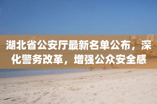 湖北省公安厅最新名单公布，深化警务改革，增强公众安全感