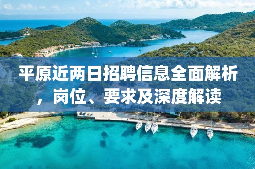 平原近两日招聘信息全面解析，岗位、要求及深度解读