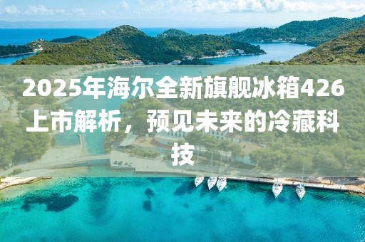 2025年海尔全新旗舰冰箱426上市解析，预见未来的冷藏科技