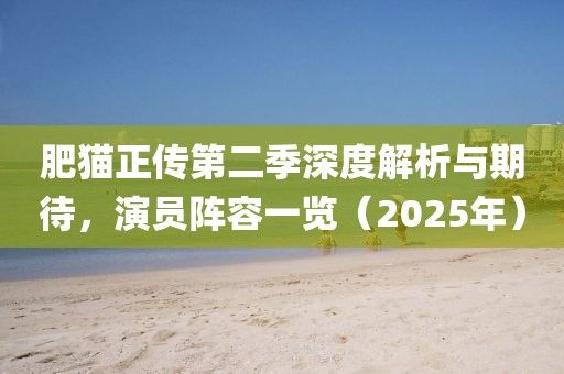 肥猫正传第二季深度解析与期待，演员阵容一览（2025年）