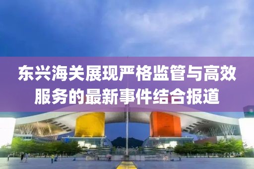 东兴海关展现严格监管与高效服务的最新事件结合报道