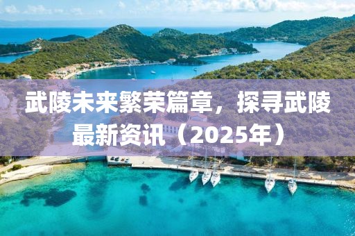 武陵未来繁荣篇章，探寻武陵最新资讯（2025年）