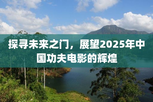 探寻未来之门，展望2025年中国功夫电影的辉煌