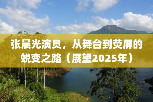 张晨光演员，从舞台到荧屏的蜕变之路（展望2025年）