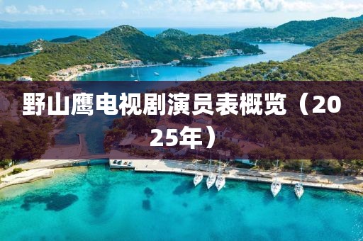 野山鹰电视剧演员表概览（2025年）