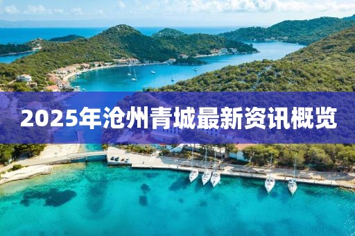2025年沧州青城最新资讯概览