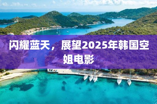 闪耀蓝天，展望2025年韩国空姐电影