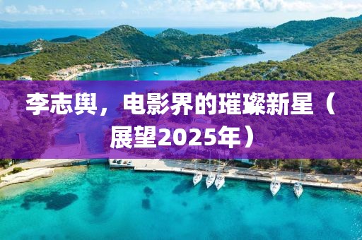 李志舆，电影界的璀璨新星（展望2025年）