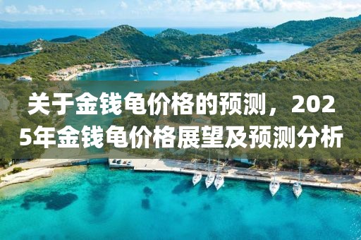 关于金钱龟价格的预测，2025年金钱龟价格展望及预测分析