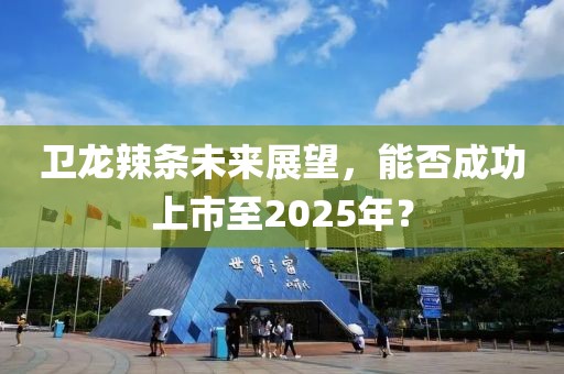 卫龙辣条未来展望，能否成功上市至2025年？