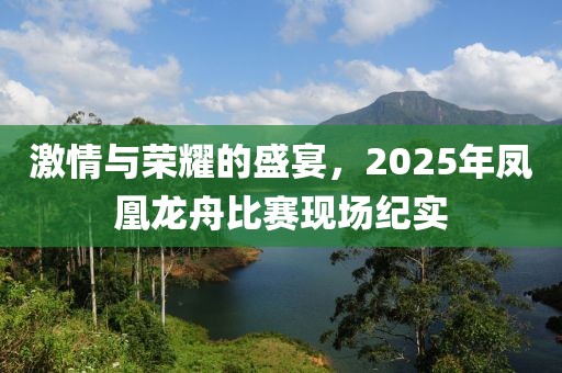 激情与荣耀的盛宴，2025年凤凰龙舟比赛现场纪实
