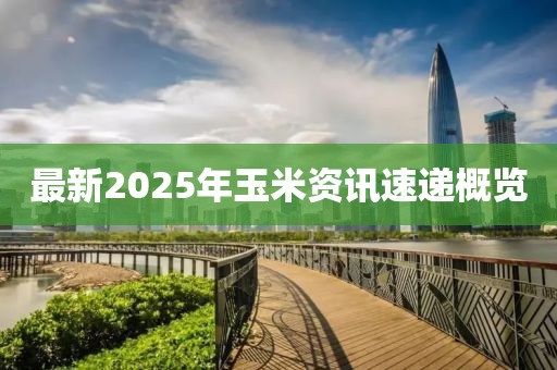 最新2025年玉米资讯速递概览