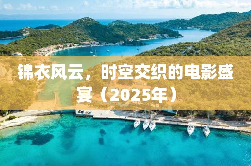 锦衣风云，时空交织的电影盛宴（2025年）