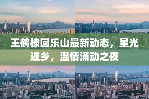 王鹤棣回乐山最新动态，星光返乡，温情涌动之夜