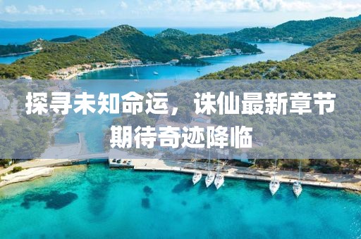 探寻未知命运，诛仙最新章节期待奇迹降临