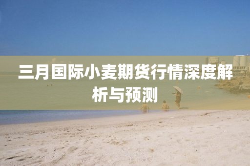 三月国际小麦期货行情深度解析与预测