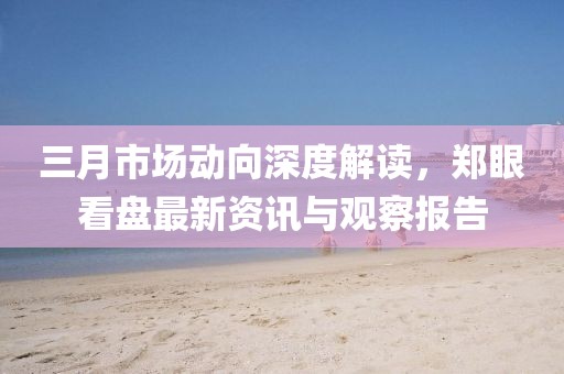 三月市场动向深度解读，郑眼看盘最新资讯与观察报告