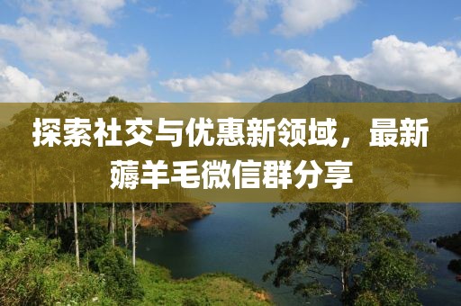 探索社交与优惠新领域，最新薅羊毛微信群分享