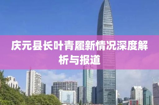 庆元县长叶青履新情况深度解析与报道