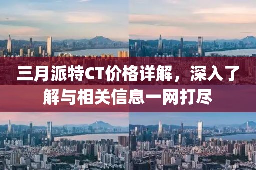 三月派特CT价格详解，深入了解与相关信息一网打尽