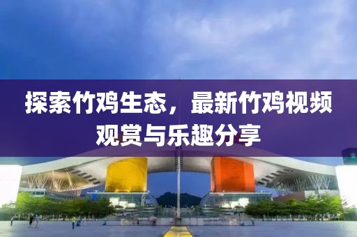 探索竹鸡生态，最新竹鸡视频观赏与乐趣分享
