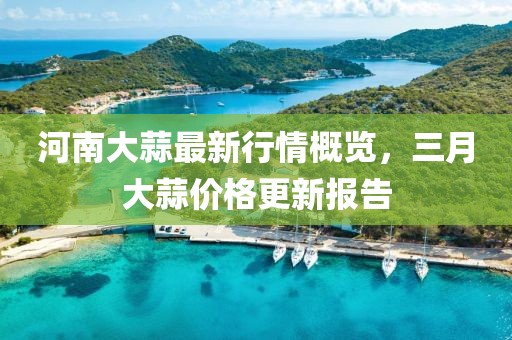 河南大蒜最新行情概览，三月大蒜价格更新报告