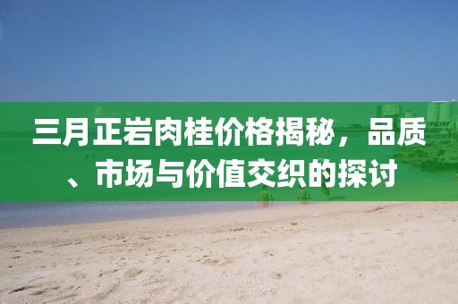三月正岩肉桂价格揭秘，品质、市场与价值交织的探讨