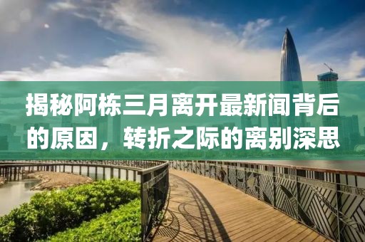 揭秘阿栋三月离开最新闻背后的原因，转折之际的离别深思
