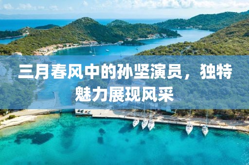三月春风中的孙坚演员，独特魅力展现风采