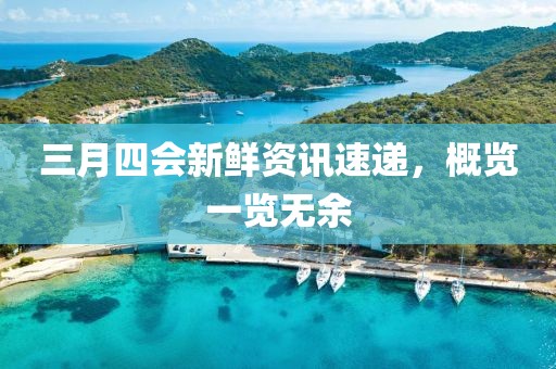 三月四会新鲜资讯速递，概览一览无余