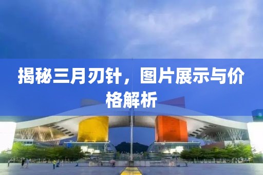揭秘三月刃针，图片展示与价格解析