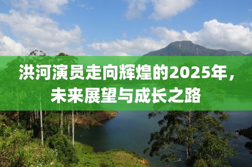 洪河演员走向辉煌的2025年，未来展望与成长之路