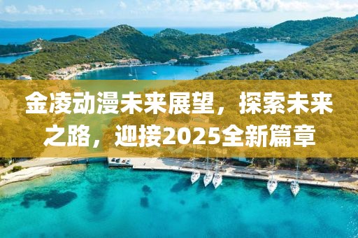 金凌动漫未来展望，探索未来之路，迎接2025全新篇章