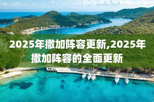 2025年撒加阵容更新,2025年撒加阵容的全面更新