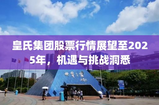 皇氏集团股票行情展望至2025年，机遇与挑战洞悉