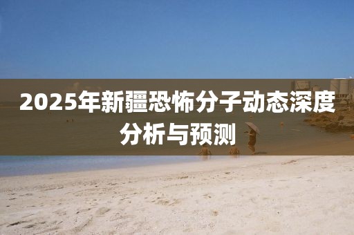 2025年新疆恐怖分子动态深度分析与预测
