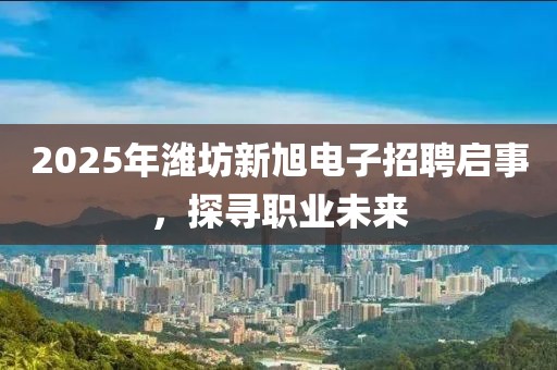 2025年潍坊新旭电子招聘启事，探寻职业未来
