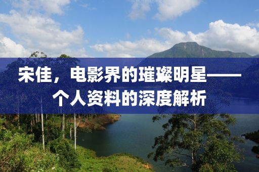 宋佳，电影界的璀璨明星——个人资料的深度解析