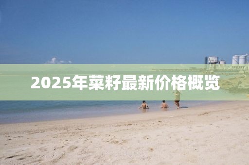 2025年菜籽最新价格概览