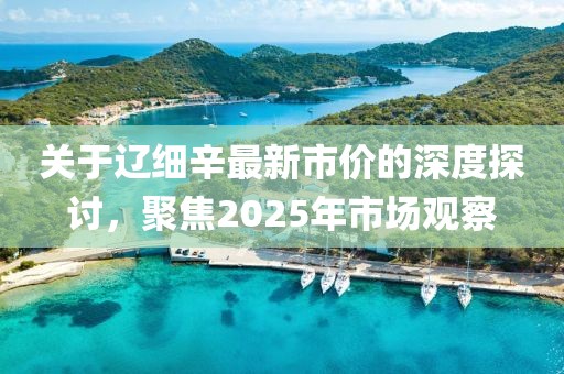 关于辽细辛最新市价的深度探讨，聚焦2025年市场观察