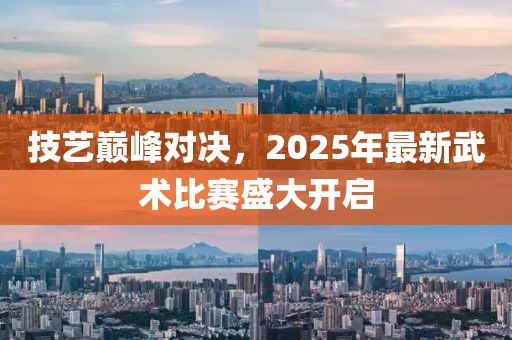 技艺巅峰对决，2025年最新武术比赛盛大开启