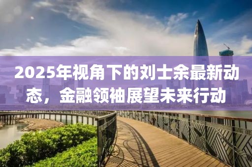 2025年视角下的刘士余最新动态，金融领袖展望未来行动