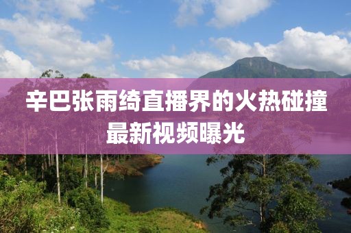 辛巴张雨绮直播界的火热碰撞最新视频曝光