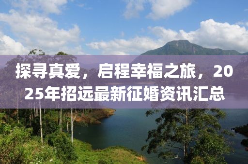 探寻真爱，启程幸福之旅，2025年招远最新征婚资讯汇总