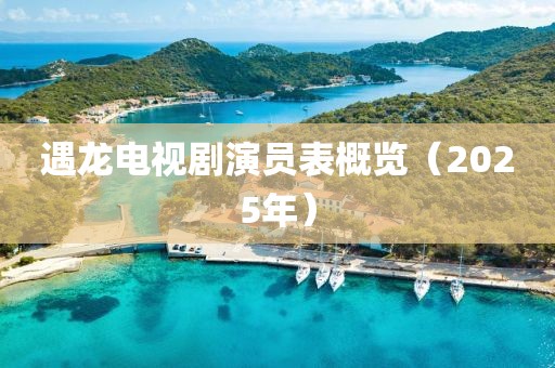 遇龙电视剧演员表概览（2025年）