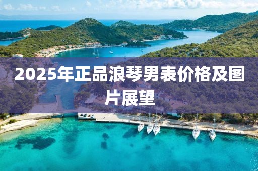 2025年正品浪琴男表价格及图片展望