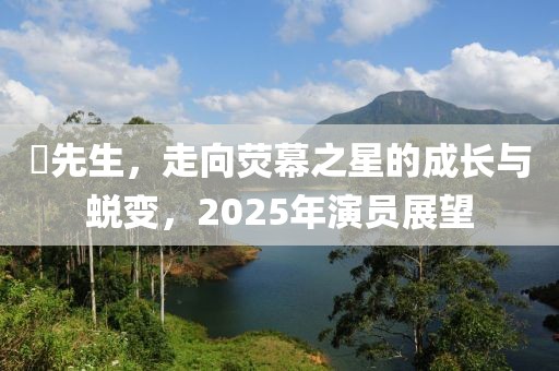 囧先生，走向荧幕之星的成长与蜕变，2025年演员展望