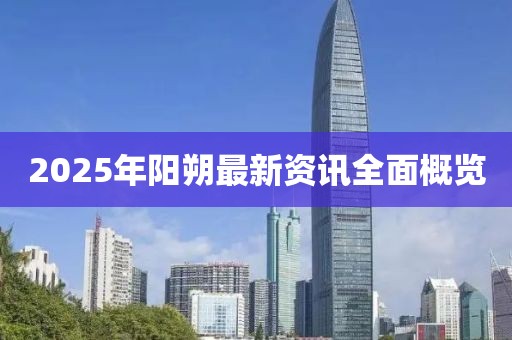 2025年阳朔最新资讯全面概览