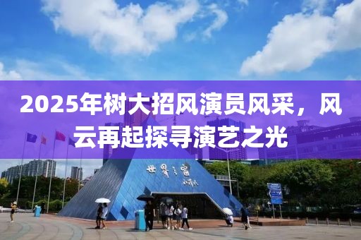 2025年树大招风演员风采，风云再起探寻演艺之光