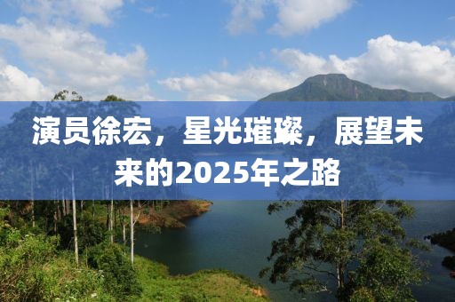 演员徐宏，星光璀璨，展望未来的2025年之路